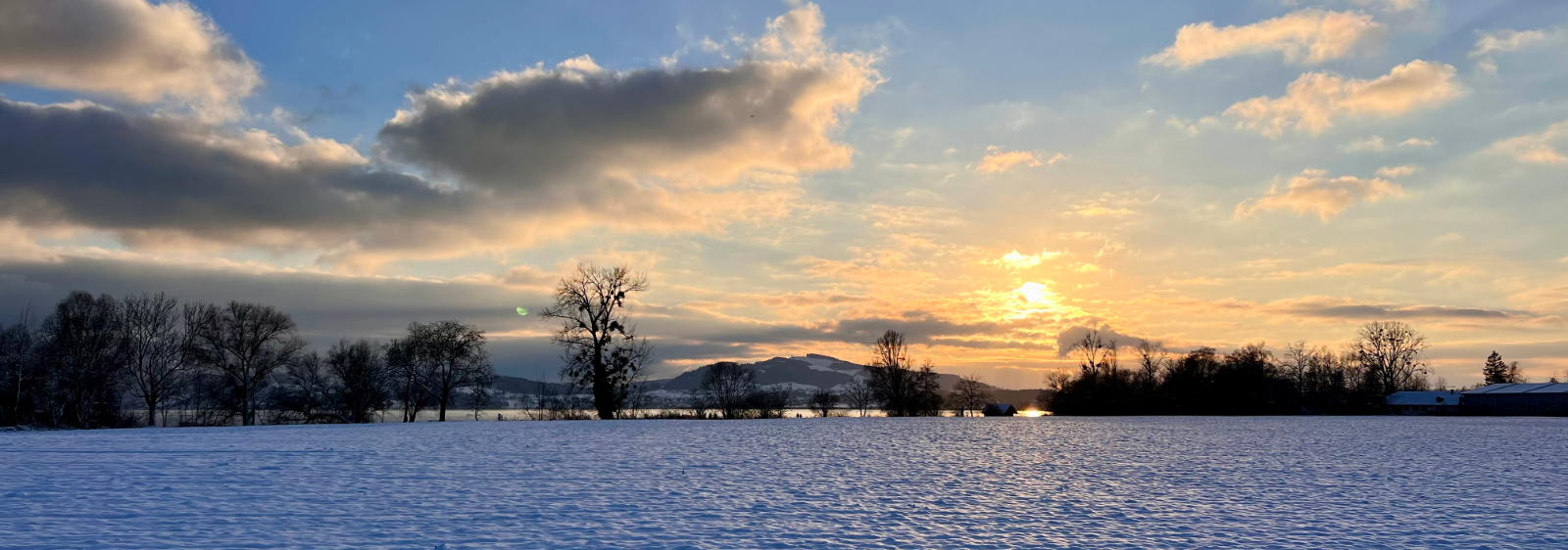 Naturaufnahme am Zugersee - Symbol für den eigene Weg, Gesundheit und Balance